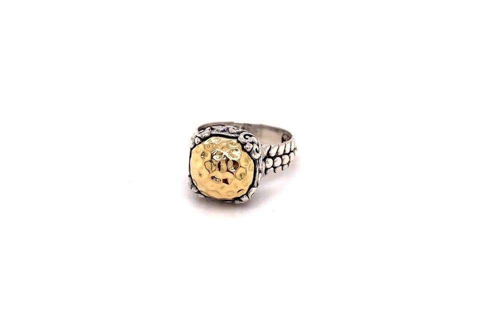 Lider Ring- Silver And Gold
