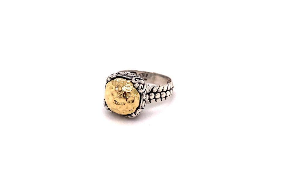 Lider Ring- Silver And Gold