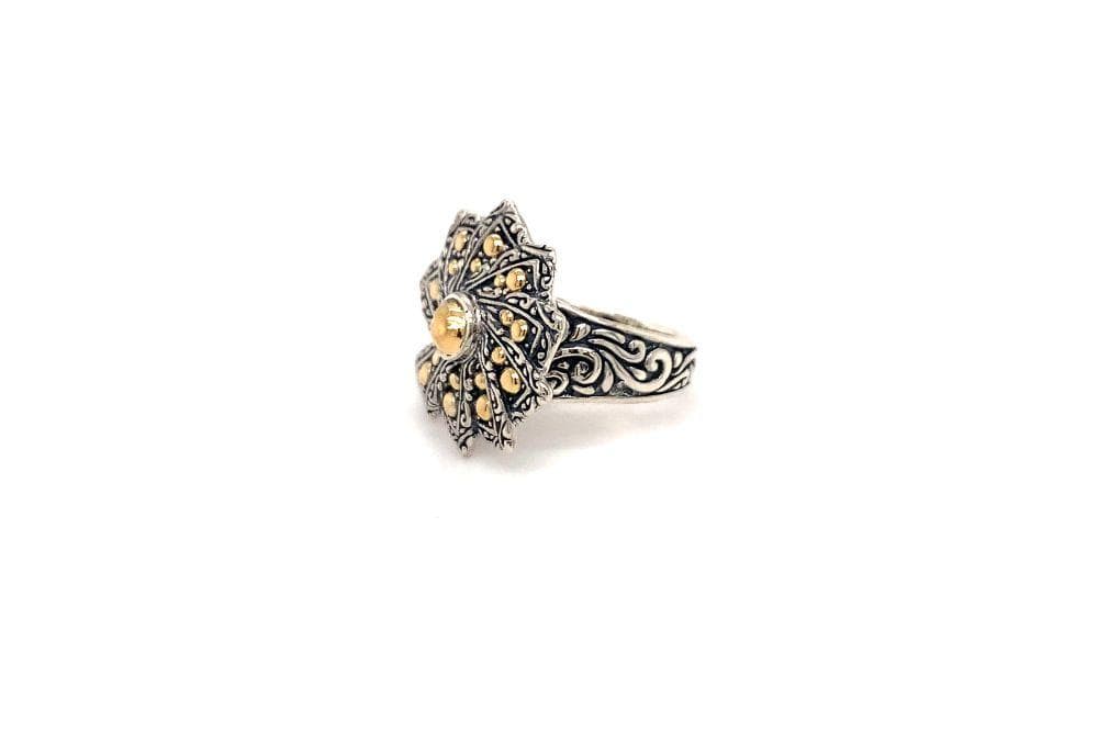 Setir Ring