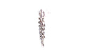 Evening Flight Earrings- Multi