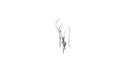 Capung Earrings