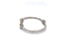 Corina Bangle