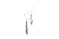 Ornate Earrings- Coral