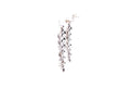 Evening Flight Earrings- Multi
