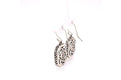 Reign Earrings