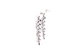 Evening Flight Earrings- Multi