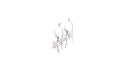Capung Earrings