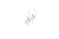 Capung Earrings