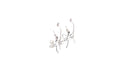 Capung Earrings