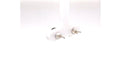 Orbit Studs