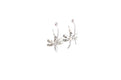 Capung Earrings