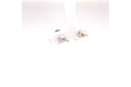 Orbit Studs