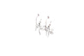 Capung Earrings