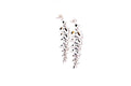 Evening Flight Earrings- Multi
