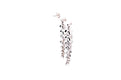 Evening Flight Earrings- Multi