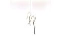 Ko Tao Earrings