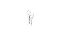 Capung Earrings