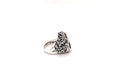 Autumn Ring
