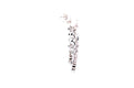 Evening Flight Earrings- Multi