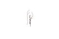 Capung Earrings
