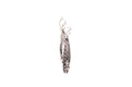 Samui Earrings