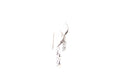 Sumba Earrings- Coral