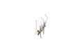 Capung Earrings