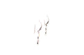 Sumba Earrings- Coral