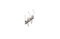 Capung Earrings