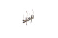 Capung Earrings