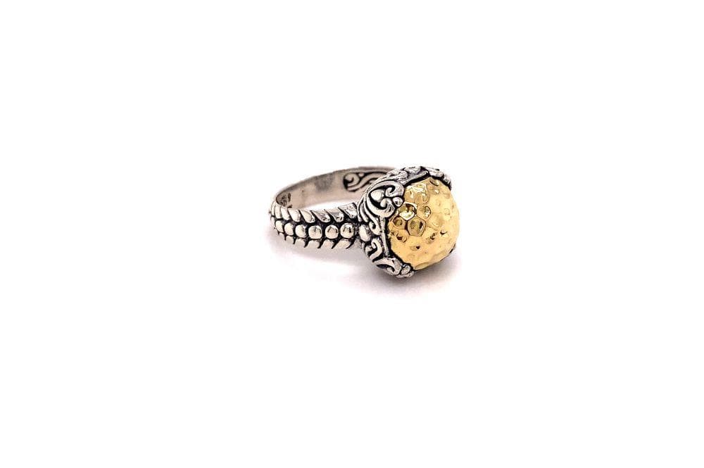 Lider Ring- Silver And Gold