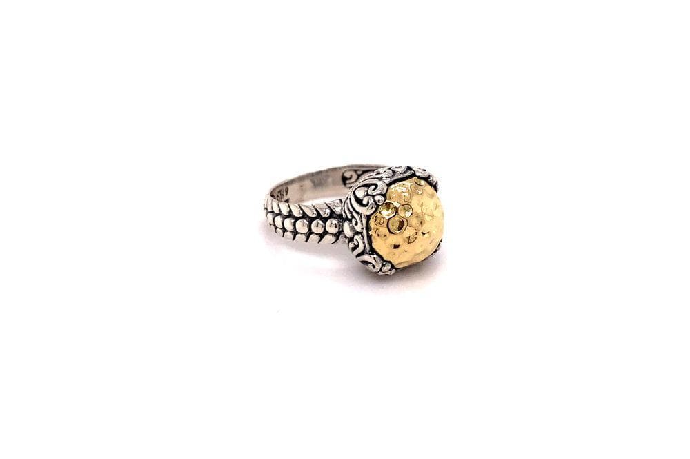Lider Ring- Silver And Gold