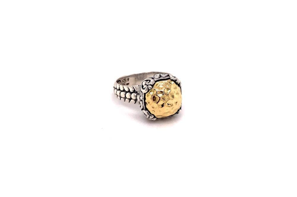 Lider Ring- Silver And Gold