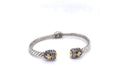 Corina Bangle