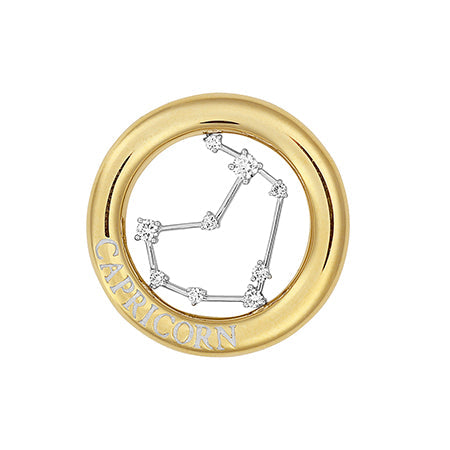 Lab Grown Lab Grown Diamond Capricorn Constellation Pendant