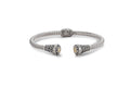 Sakala Bangle- Silver And Gold