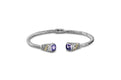 Saboke Bangle- Amethyst