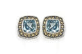 Zion Earrings- Blue Topaz
